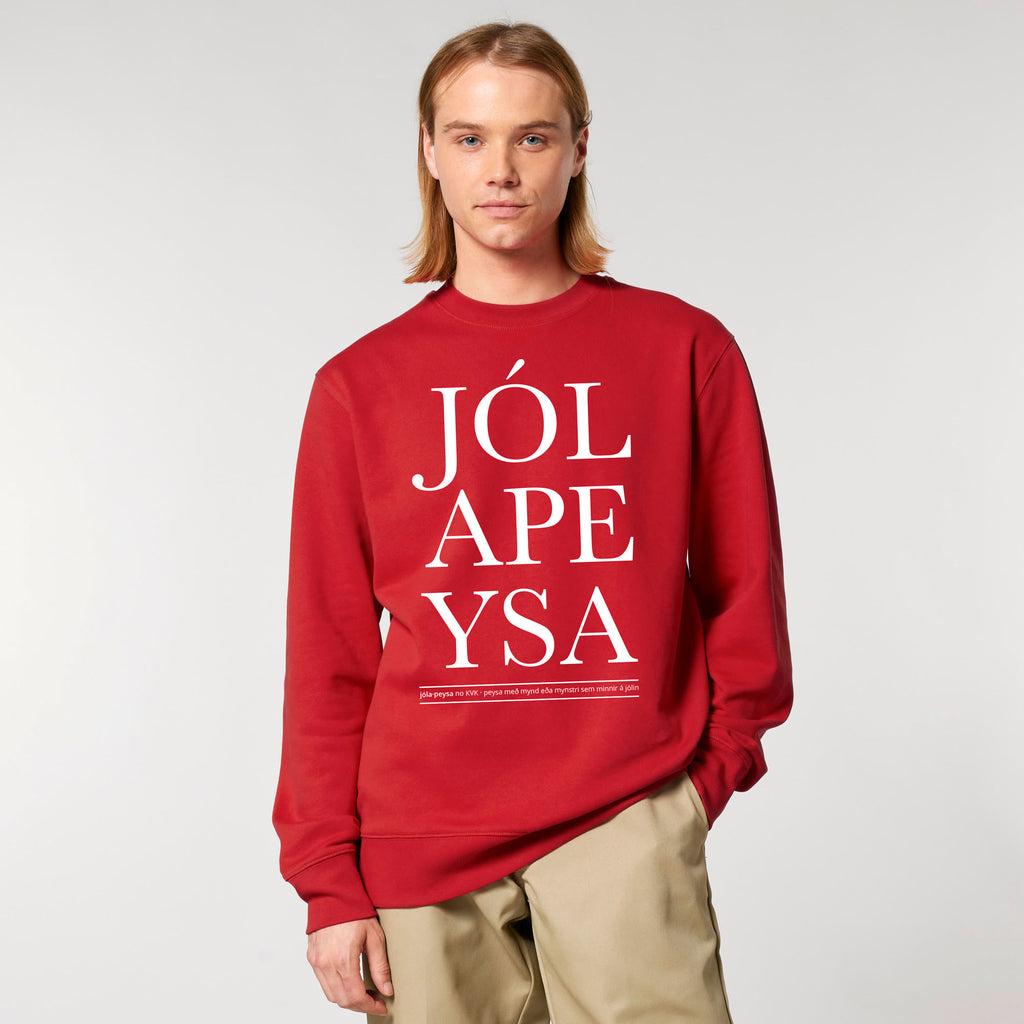 JÓLAPEYSA - rauð - segir sig sjálf