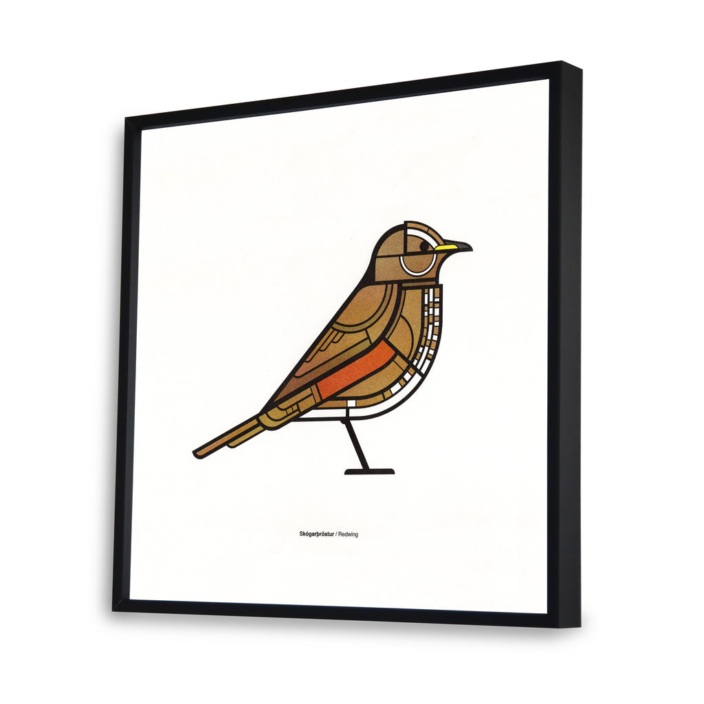 Skógarþröstur 30x30cm