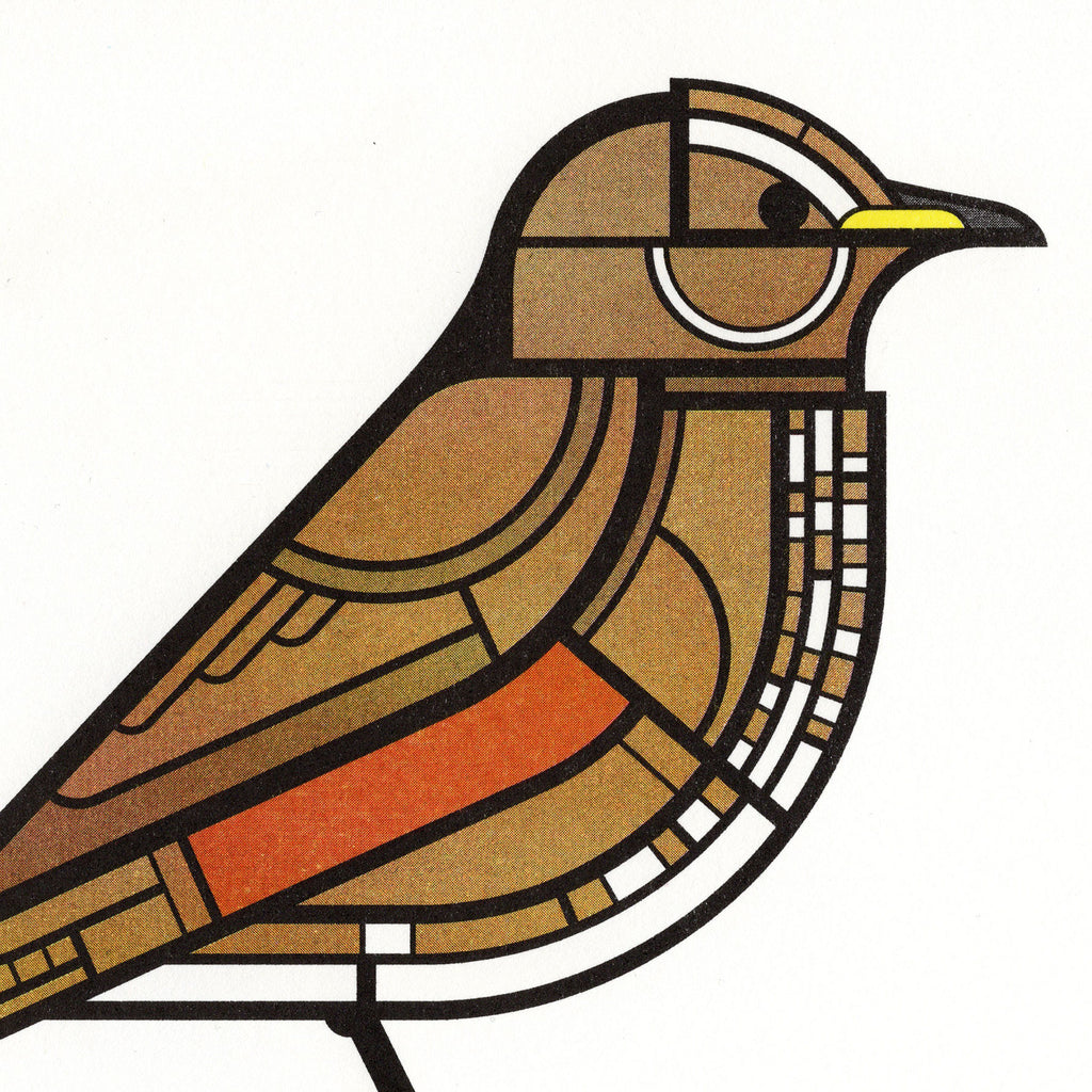 Skógarþröstur 30x30cm