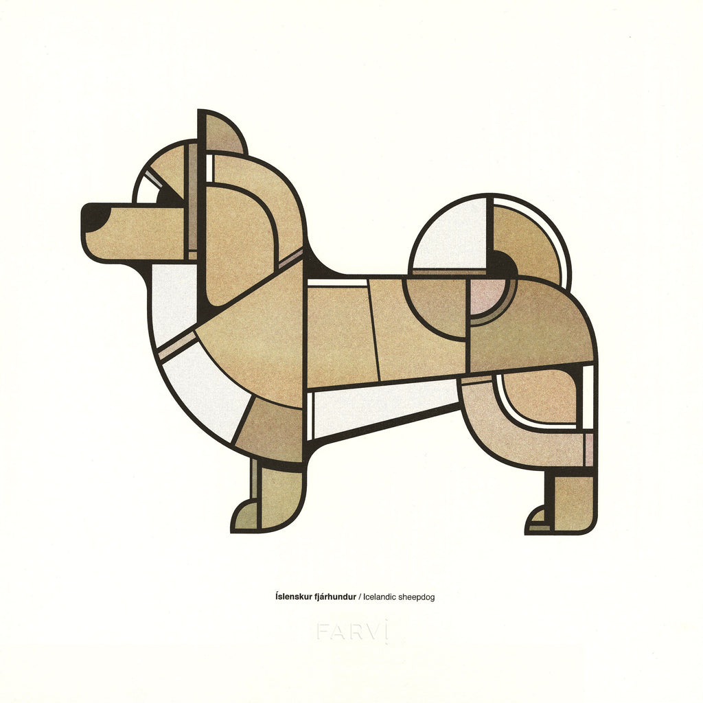 Íslenski fjárhundurinn