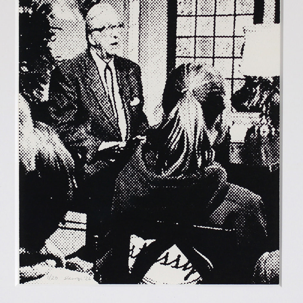 "Skjaskot/Screengrab"  Farvavinur#3